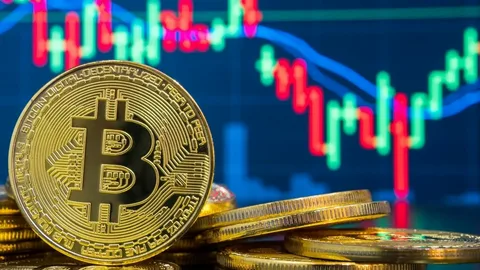 Thielen also cited the uncertainty surrounding the U.S. election, the slowing U.S. economy, and dwindling AI hype as risks to the crypto market. Both bitcoin and Nvidia (NVDA), a bellwether for all things AI, bottomed out with the debut of ChatGPT in late 2022.