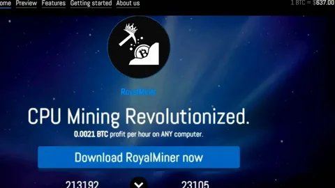 Solo Miner