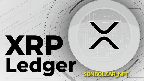 XRP Ledger