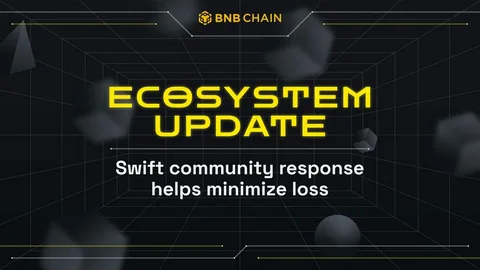 BNB Chain Ecosystem