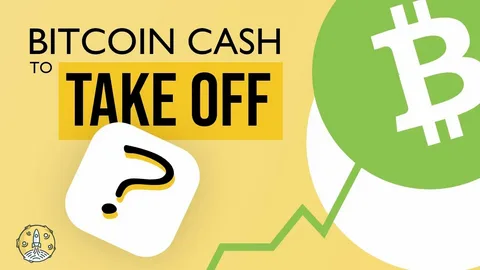 Bitcoin Cash Price