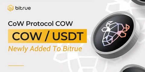 CoW Protocol Price Today