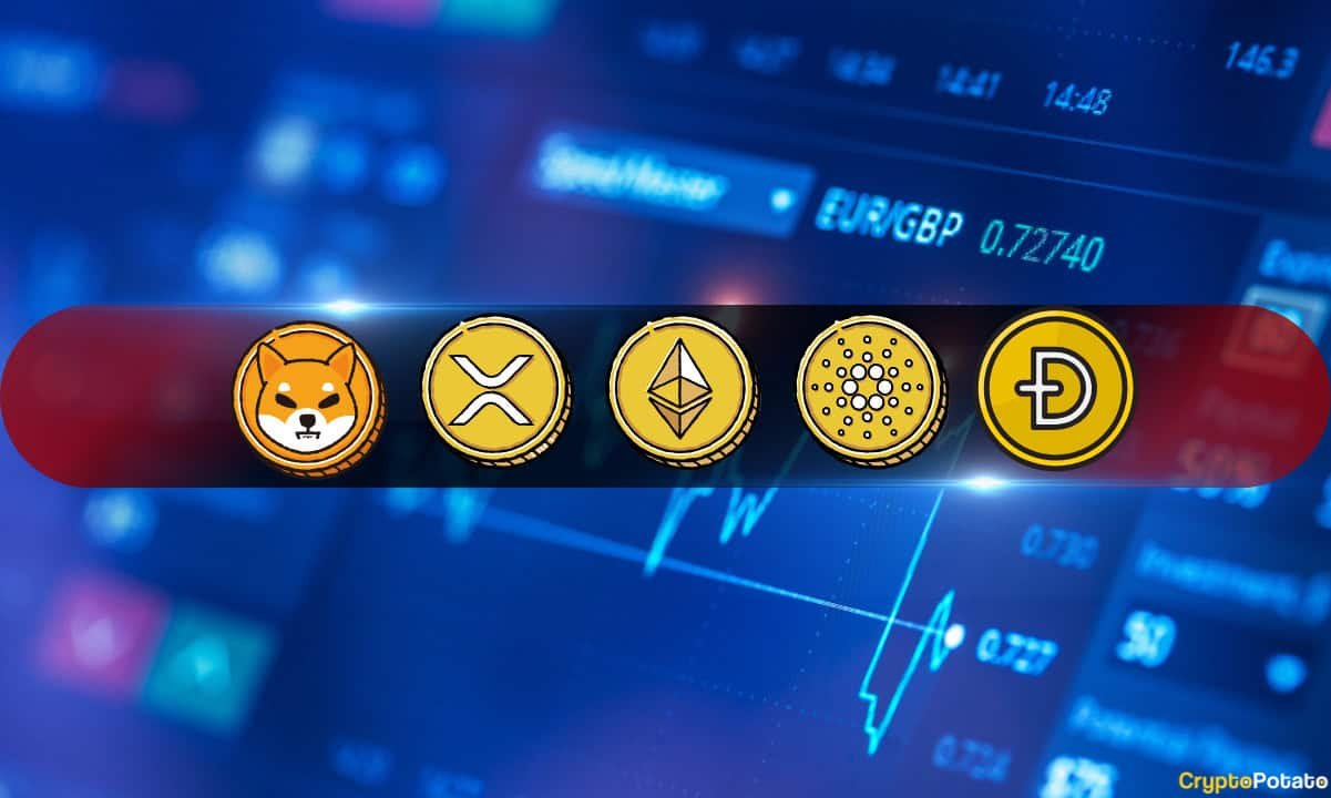SHIB Outperforms BTC, ETH, and XRP: A Deep Dive into Grayscale’s Weekly Profit Report 17 SHIB