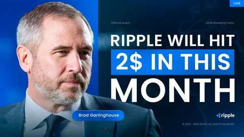 Ripple CEO