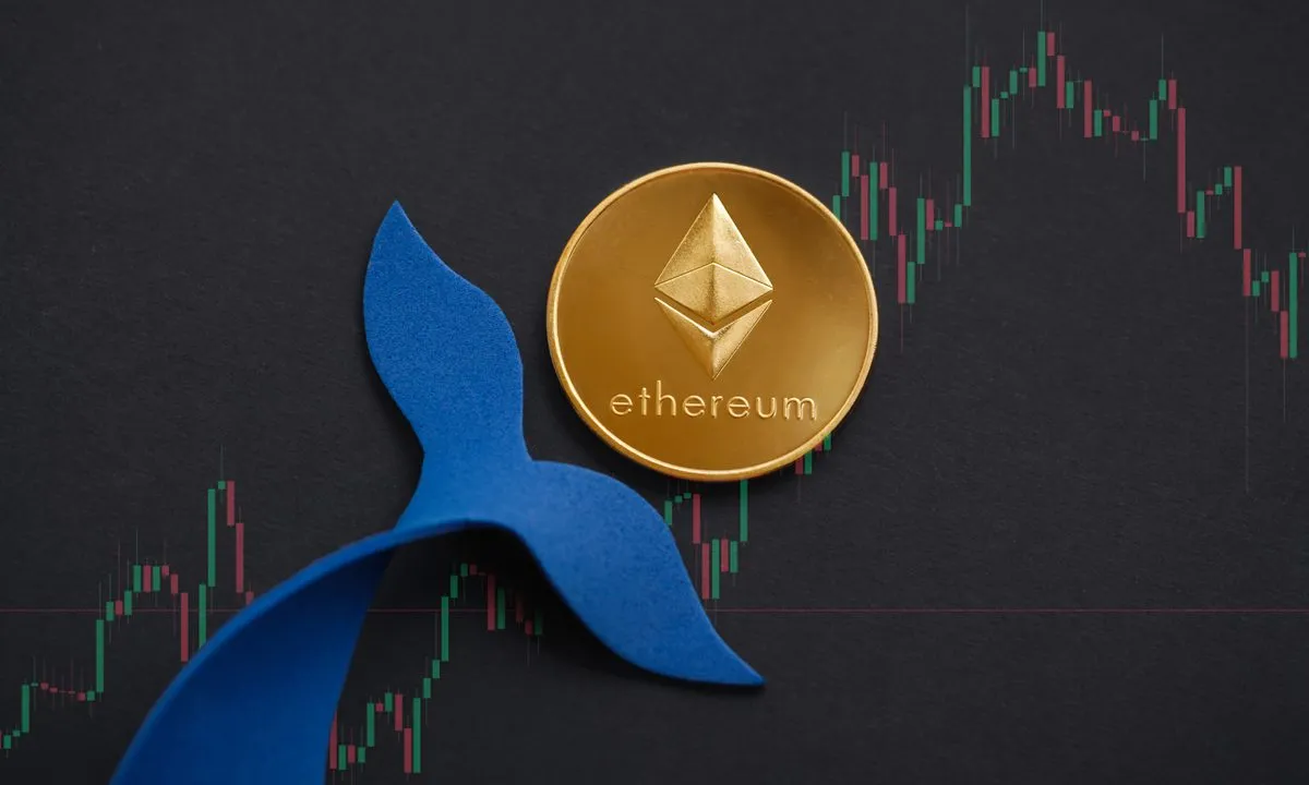 Ethereum Gains Strength Against Bitcoin: Whales Accumulate This Altcoin, Anticipating a Stellar Pump 49 Bitcoin