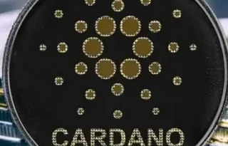 Cardano