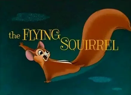 Squirrel