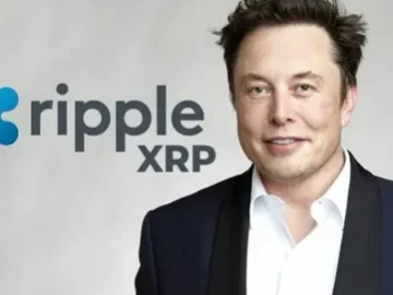 XRP Surge