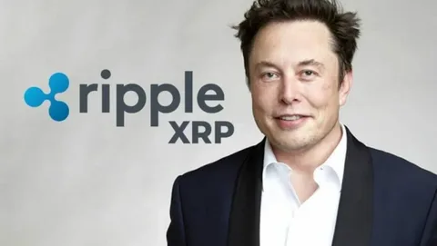 The XRP Surge: Can Elon Musk’s X Drive XRP to $500? 67 XRP Surge