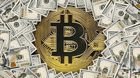 Accelerating Bitcoin Adoption: How Businesses Are Embracing Crypto Reserves 41 Bitcoin Adoption