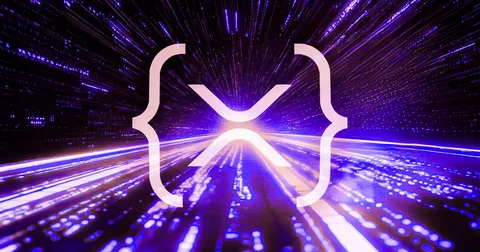 XRP Ledger's Institutional DeFi Roadmap: A Game Changer for Financial Institutions 53 XRP Ledger