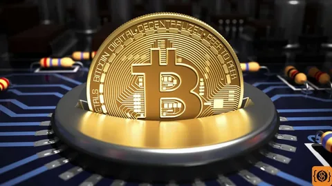 The Bitcoin Act of 2024: How Bill S.4912 Aims to Revolutionize Bitcoin Storage and Acquisition 23 The Bitcoin Act of 2024