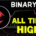 BinaryX Price Today