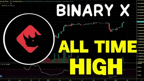 BinaryX Price Today at $0.989007 USD with Impressive Trading Volume 95 BinaryX Price Today