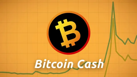 Bitcoin Cash Price Today: Key Metrics and Market Performance Explained 51 Bitcoin Cash Price