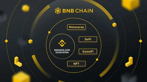 Navigating the BNB Chain Ecosystem: Your Complete List of Builder Support Programs 5 BNB Chain Ecosystem