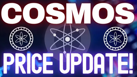 Cosmos