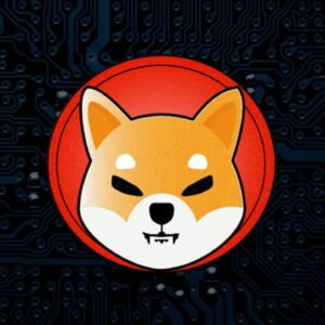 Is Shiba Inu Still a Good Buy? Price Prediction & Speculative Analysis 25 e9d4701c3879c096e50801b13dfb2b12