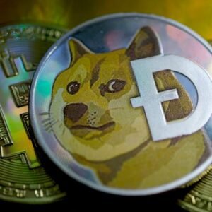 Can Dogecoin Hit $1? Technical and Sentiment Analysis for 2025 27 p09jl2dk